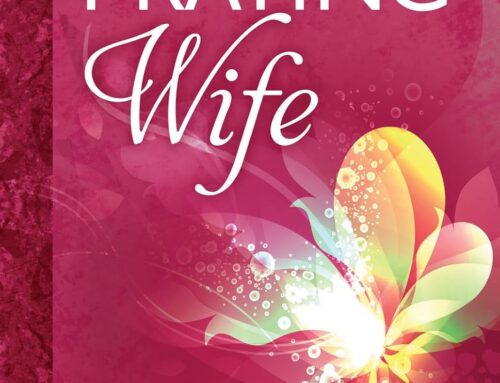 The Power of a Praying Wife by Stormie Omartian
