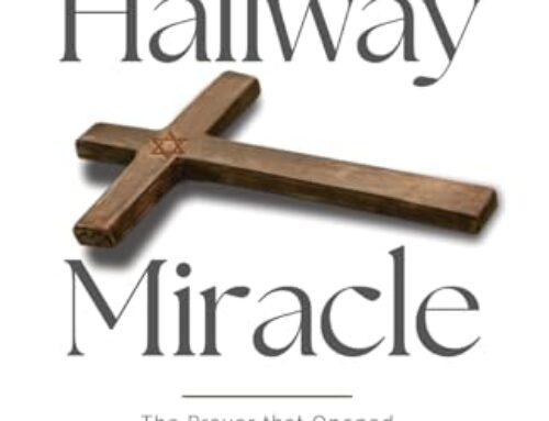 The Hallway Miracle by Cara Shine (book review)